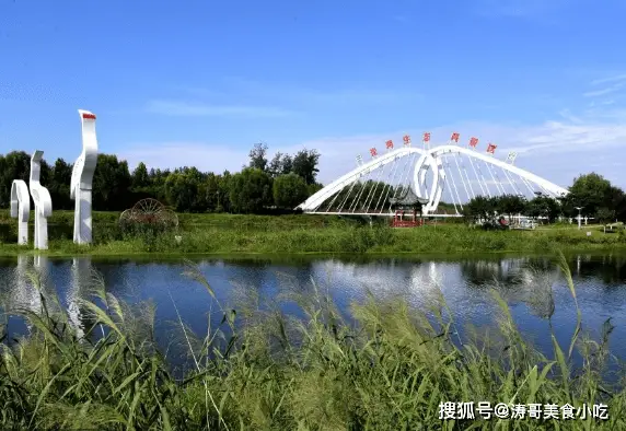 夏邑辣椒基地_夏邑辣椒种植致富_辣椒种植大户的致富经