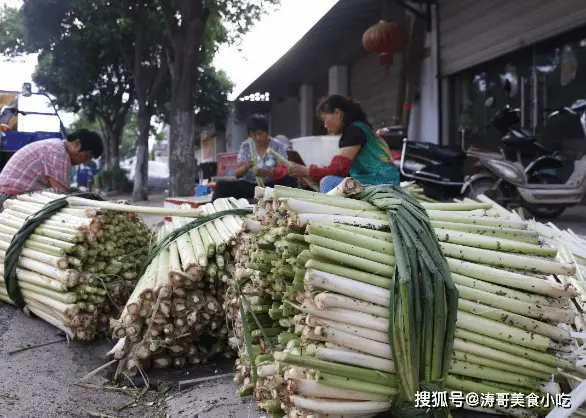 辣椒种植大户的致富经_夏邑辣椒基地_夏邑辣椒种植致富