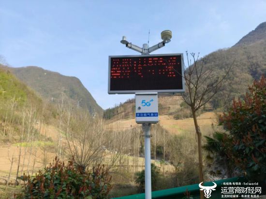 湖北农村种植什么赚钱不愁销路_湖北农村致富好项目_湖北农村种植致富