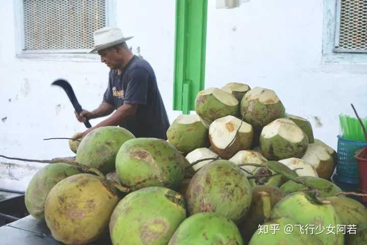 南姜的种植技术_南姜的种植技术_南姜的种植技术