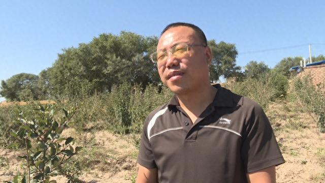 种植环保主题_农村致富新项目种植业_农村环保种植致富