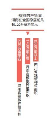 种植面积远超湖南、四川，全国十大名椒中河南省占俩，但品牌存在感不强