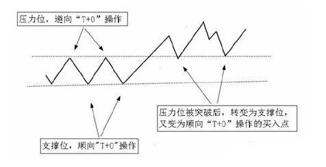 致富养牛牛人_致富养殖牛典型事迹材料范文_v7致富经养殖牛