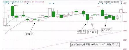 v7致富经养殖牛_致富养牛牛人_致富养殖牛典型事迹材料范文