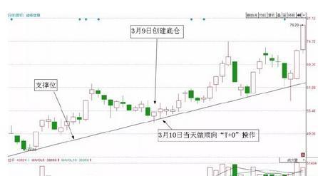 致富养牛牛人_v7致富经养殖牛_致富养殖牛典型事迹材料范文