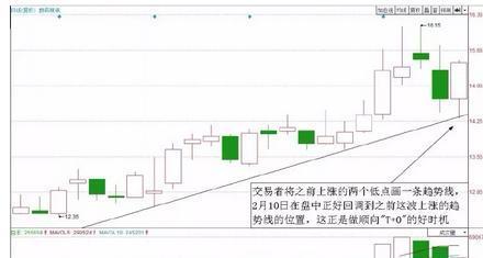 致富养殖牛典型事迹材料范文_致富养牛牛人_v7致富经养殖牛