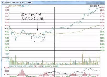 致富养殖牛典型事迹材料范文_致富养牛牛人_v7致富经养殖牛