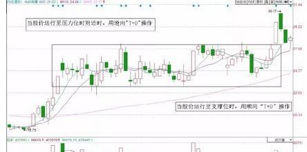 v7致富经养殖牛_致富养牛牛人_致富养殖牛典型事迹材料范文