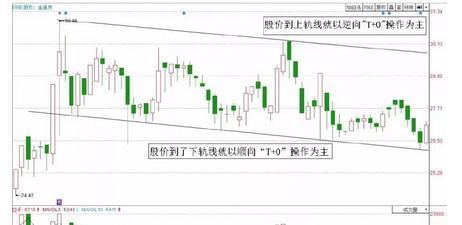 v7致富经养殖牛_致富养殖牛典型事迹材料范文_致富养牛牛人