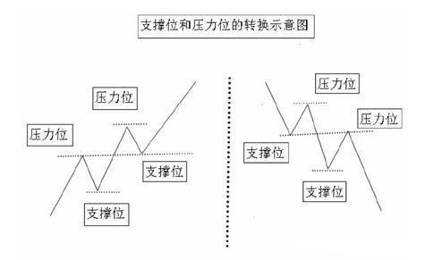 致富养殖牛典型事迹材料范文_致富养牛牛人_v7致富经养殖牛