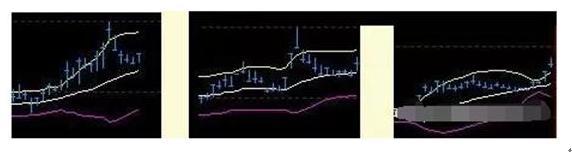 致富养牛牛人_v7致富经养殖牛_养殖致富项目牛