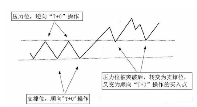 v7致富经养殖牛_致富养牛牛人_养殖致富项目牛