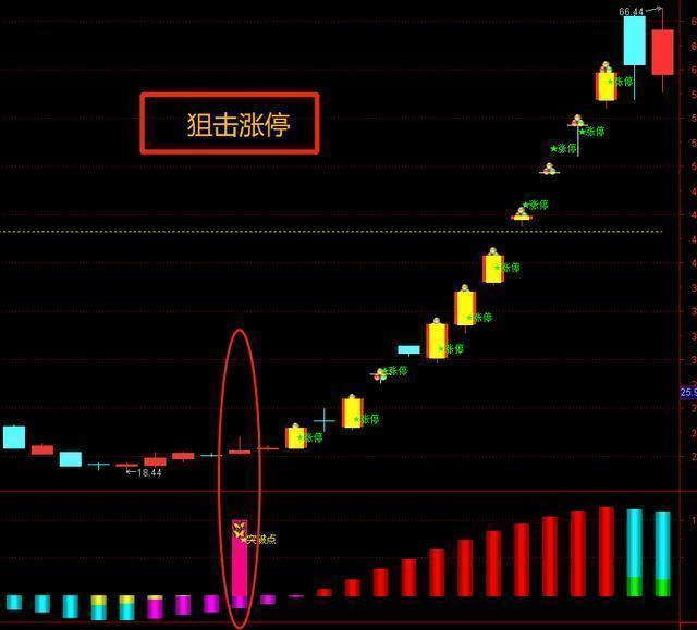 致富养牛牛人_养殖致富项目牛_v7致富经养殖牛