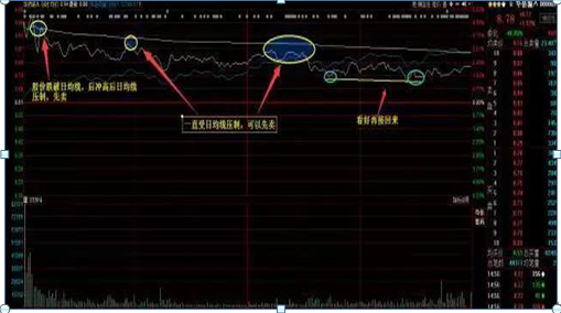 致富养殖牛典型事迹材料范文_致富养殖牛怎么养赚钱_v7致富经养殖牛