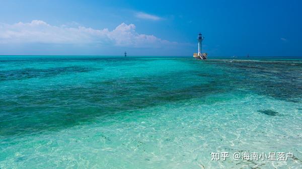 海南酸桔苗_海南酸桔子种植技术_海南酸桔的种植技术