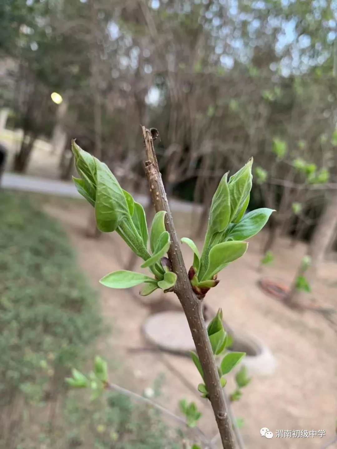 电教优质课怎么讲_电教优质课课例特点_电教优质课学习经验