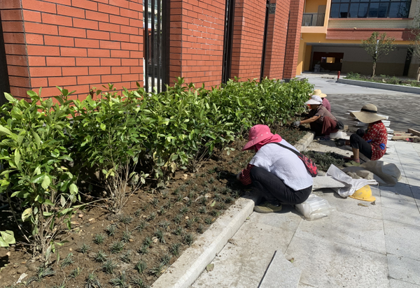 优质学校建设的实践与思考_优秀学校经验介绍_提炼优质校项目建设经验