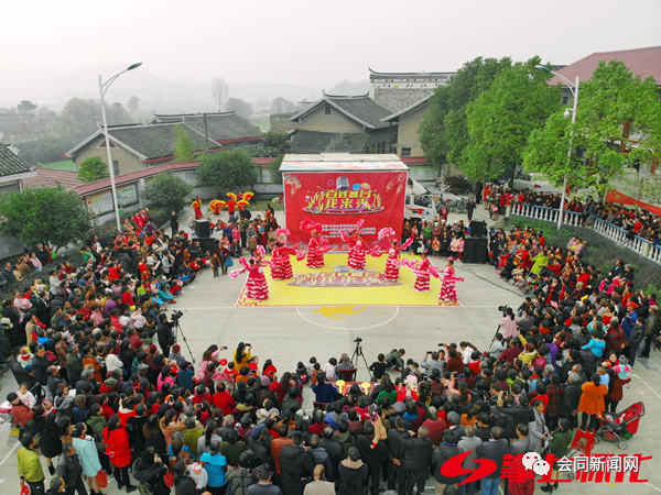 致富经林下种植魔芋视频_致富经魔芋种植技术_致富经魔芋