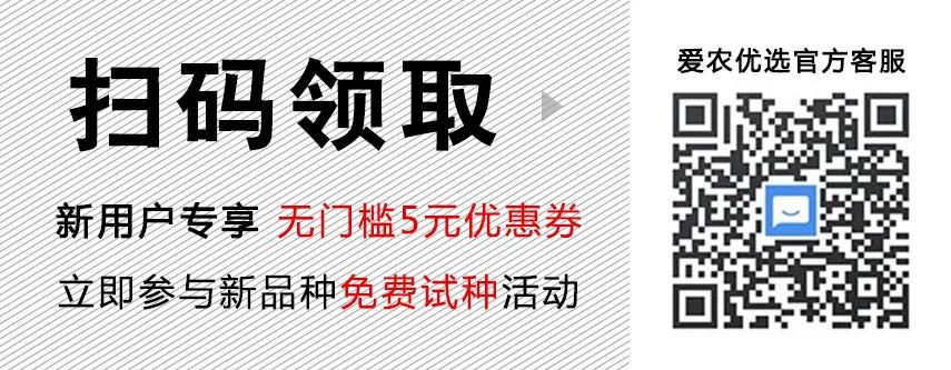 露地架豆角的种植技术_露台种豆角_怎样露地种豆角