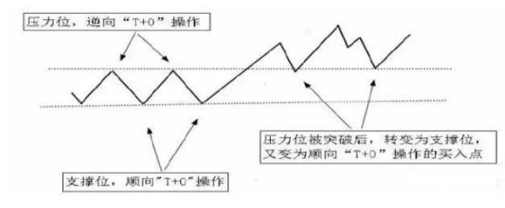 v7致富经养殖牛_养殖致富项目牛_致富养殖牛典型事迹材料范文