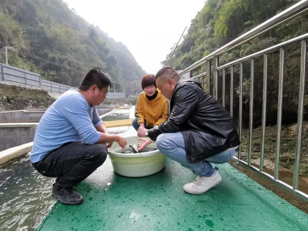 致富经水产养殖_水域养殖致富项目_致富养殖业