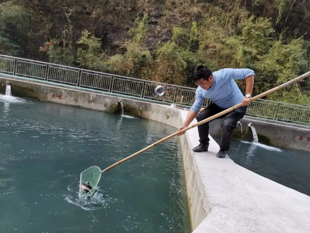 致富经水产养殖_致富养殖业_水域养殖致富项目