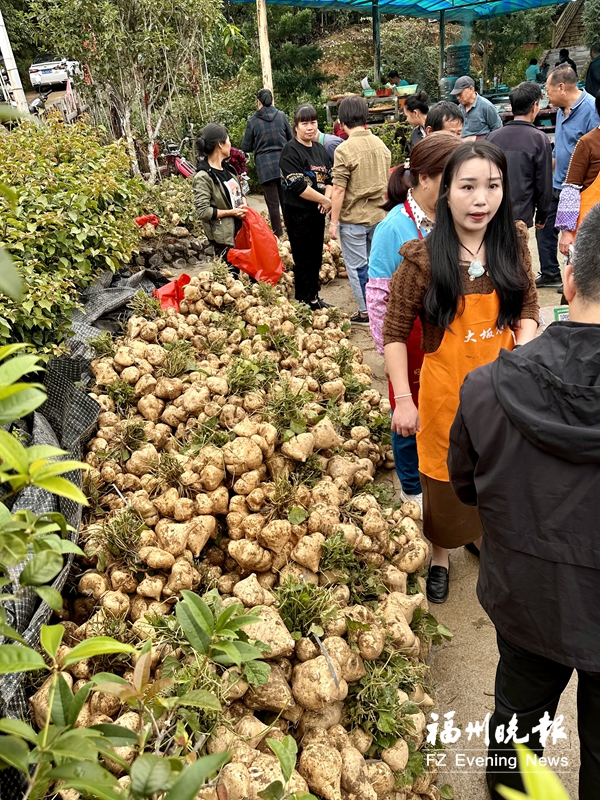 闽侯大坂村：昔日贫困村活起来了