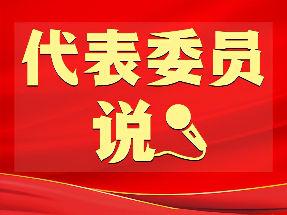 刘入源代表：激活无障碍环境公益保护机制