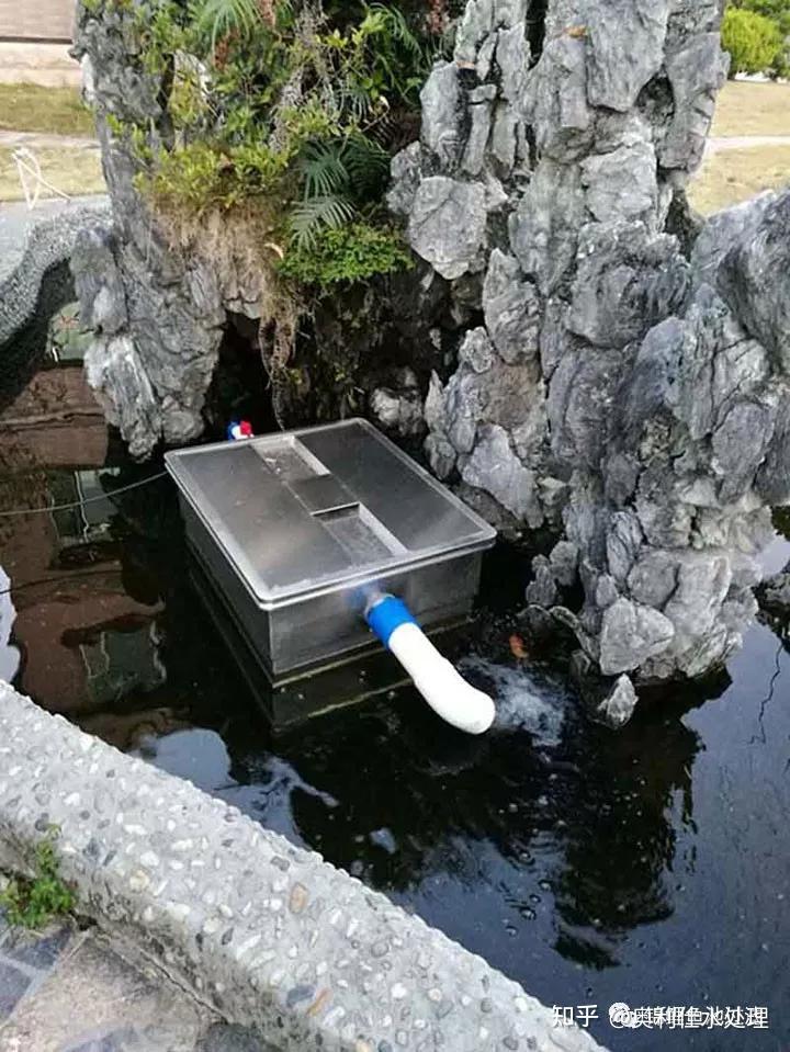 生态鱼塘养殖技术_养殖鱼塘生态技术规程_池塘生态养鱼技术