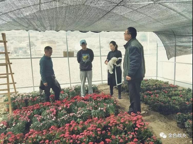 飘香藤室外种植技术_飘香藤室内还是室外养_藤室外飘香种植技术要点