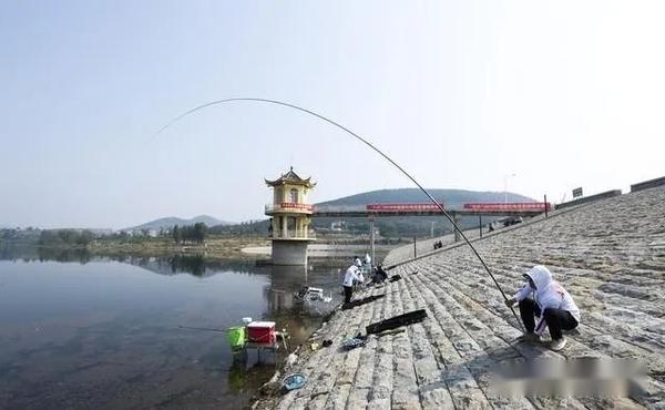 鲩鱼养殖技术及利润_鳊鱼养殖技术与利润_养殖鳡鱼利润大不大