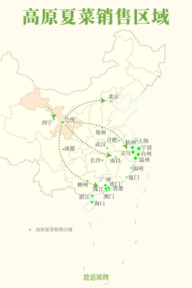 夏天种菜心的方法和步骤_夏天菜心种植技术_夏天种植菜心技术视频