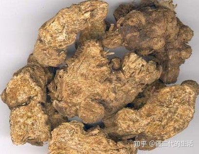 2020中药材种植什么最赚钱_中药种植赚钱_致富种植中药