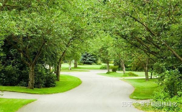 优质草坪种植价格_种植草坪增收致富_种植草坪赚钱吗