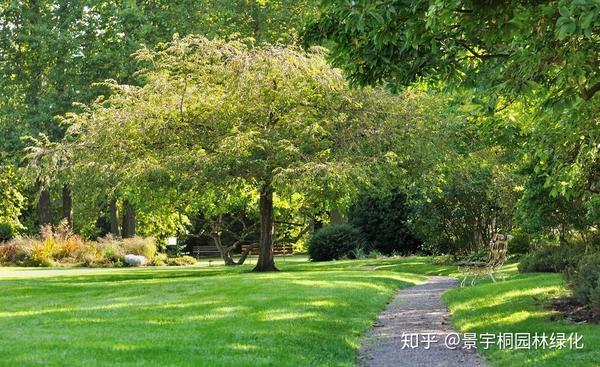 优质草坪种植价格_种植草坪赚钱吗_种植草坪增收致富