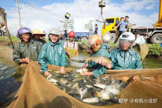 吉林省水库养殖技术_吉林淡水鱼养殖基地_吉林水产养殖