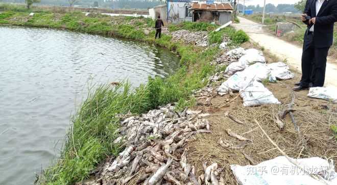 吉林水产养殖_吉林省水库养殖技术_吉林淡水鱼养殖基地