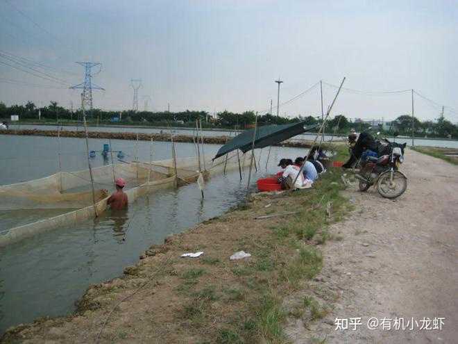 吉林水产养殖_吉林省水库养殖技术_吉林淡水鱼养殖基地