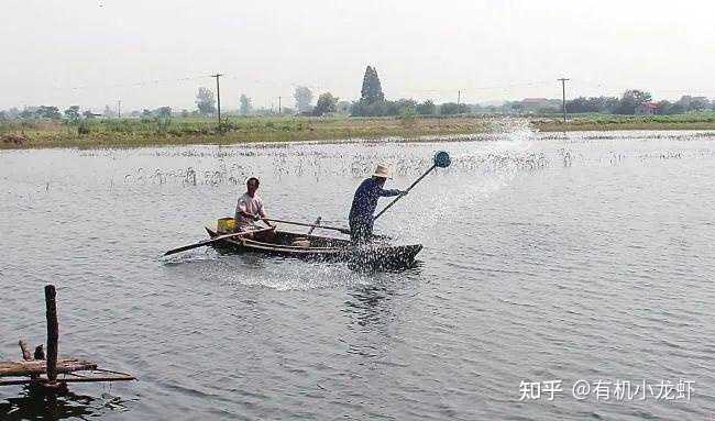 吉林淡水鱼养殖基地_吉林水产养殖_吉林省水库养殖技术