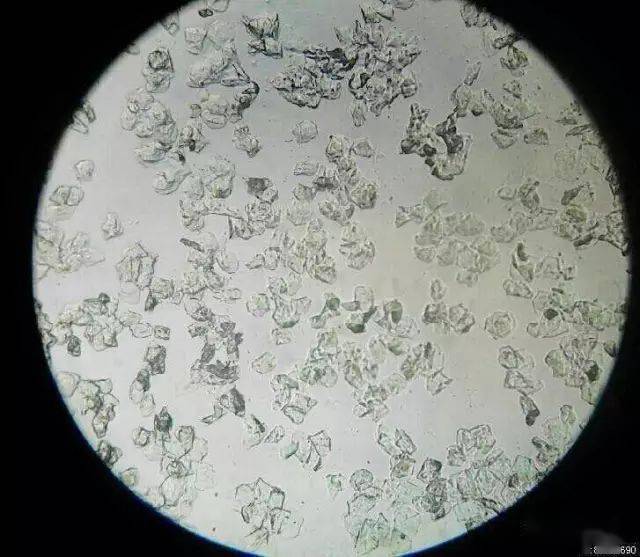 狐狸养殖繁殖技术_视频狐狸养殖配种技术教程_狐狸养殖配种技术视频