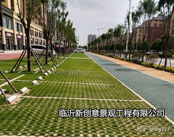 种植草坪增收致富_种植草坪赚钱吗_草坪种植效益