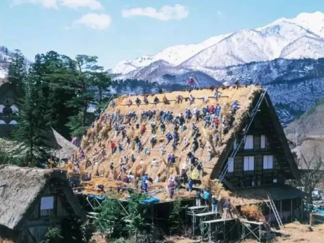 借鉴优质村庄规划经验_村庄借鉴优质规划经验材料_优秀村庄规划案例