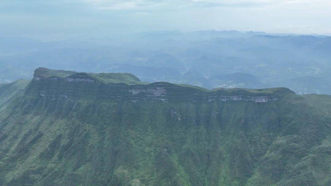 致富种植荒地草坪图片_荒地种植致富草_荒地种草项目