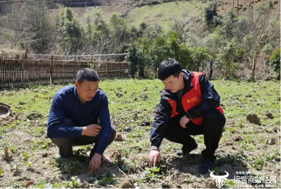 （移动工作人员在药材种植园和村民们一起观察中药材长势）