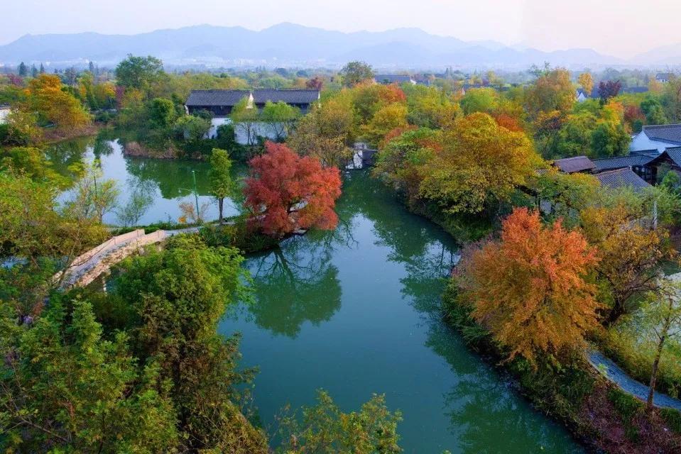 种植致富业_苗圃种植致富吗_致富种植苗圃图片