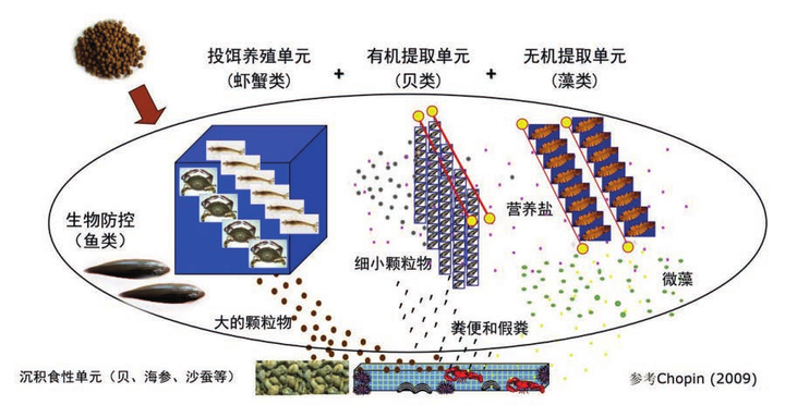 立体室内水产养殖技术_立体养殖水产室内技术要求_立体养殖水产室内技术规范