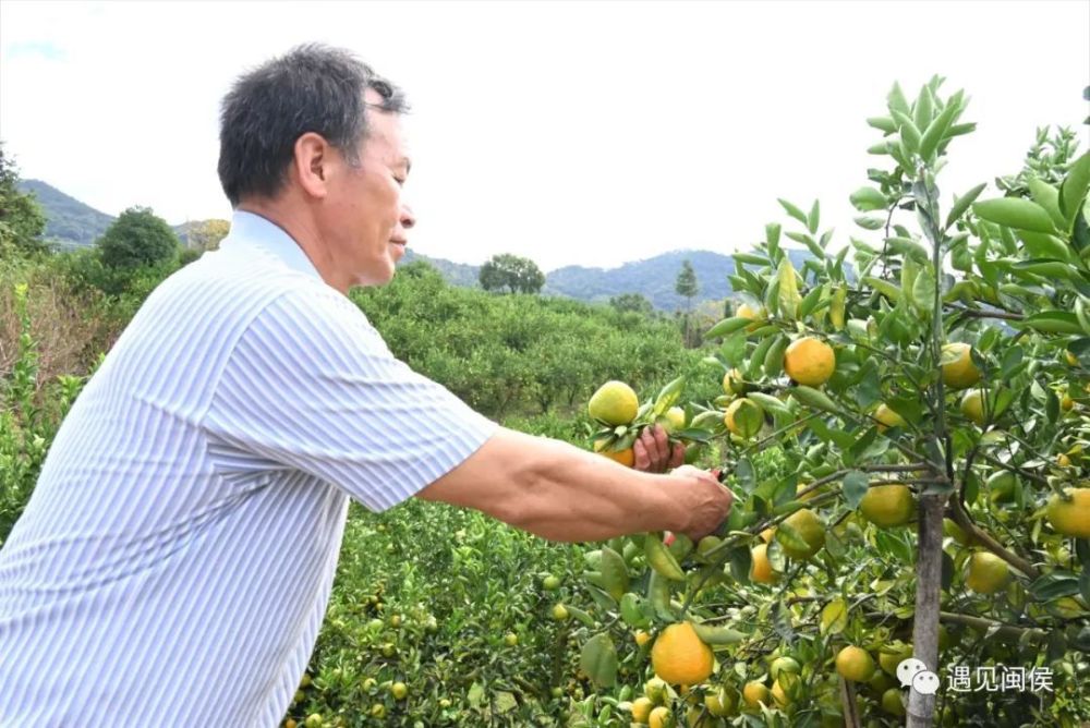 种植致富宝典_云端致富宝网络平台_云端种植致富果