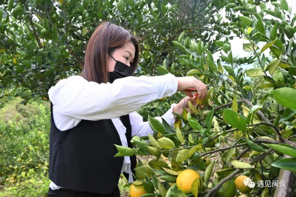 云端种植致富果_种植致富宝典_云端致富宝网络平台