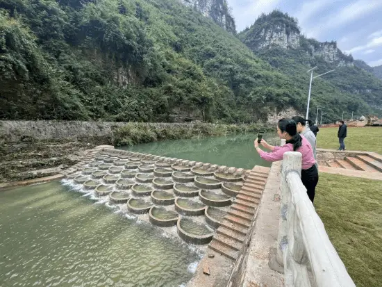 致富种植苗圃图片大全_苗圃种植致富吗_致富种植苗圃图片