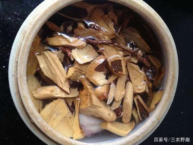 广东五指毛桃苗_广东种植五指毛桃致富的人_5指毛桃种植